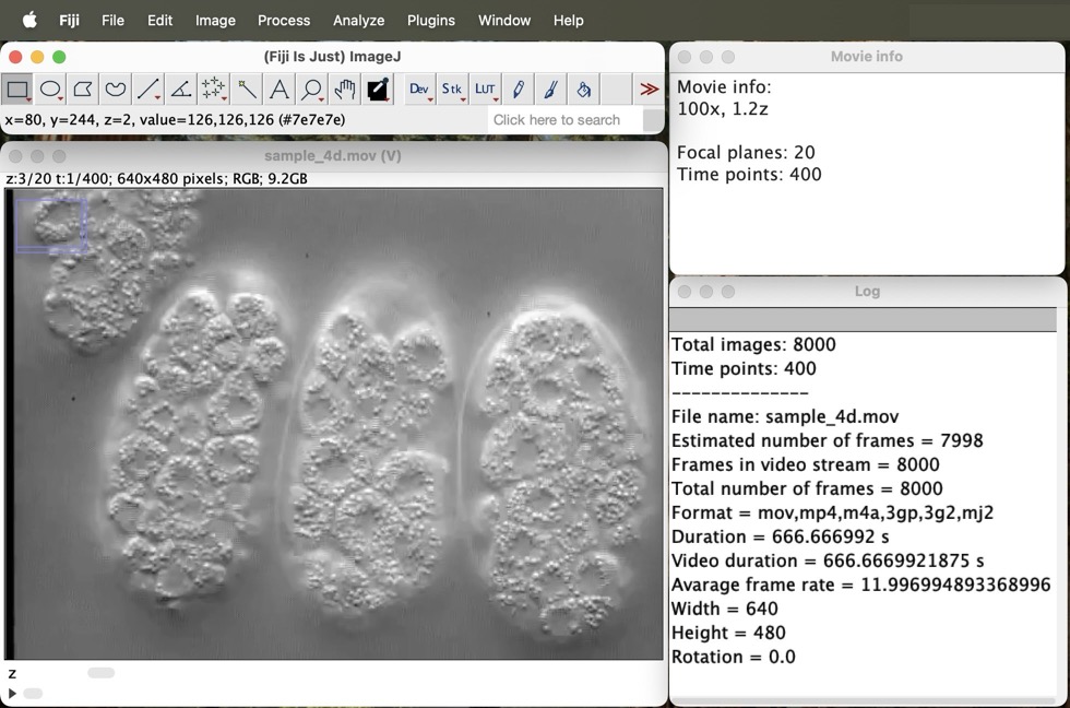 4d_screenshot