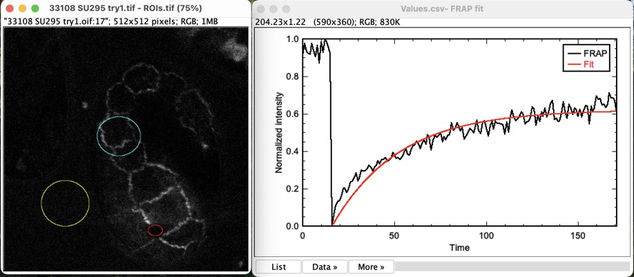 frap_analysis_screenshot